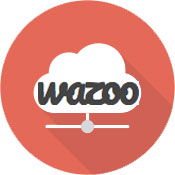 wazoo Logo